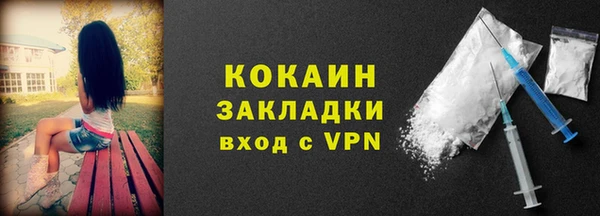 PSILOCYBIN Няндома