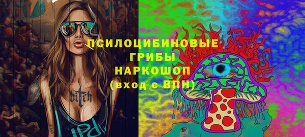 PSILOCYBIN Няндома