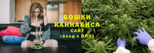 стаф Гвардейск