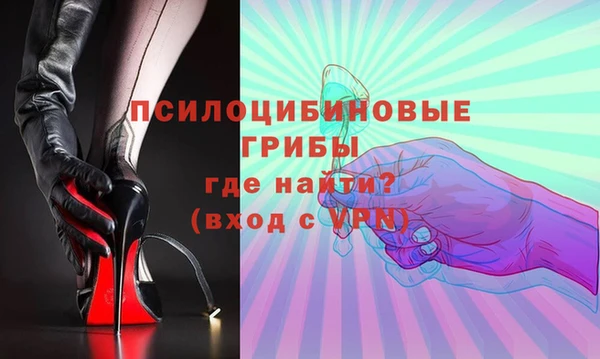 PSILOCYBIN Няндома