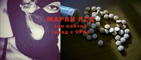 сатива Гатчина