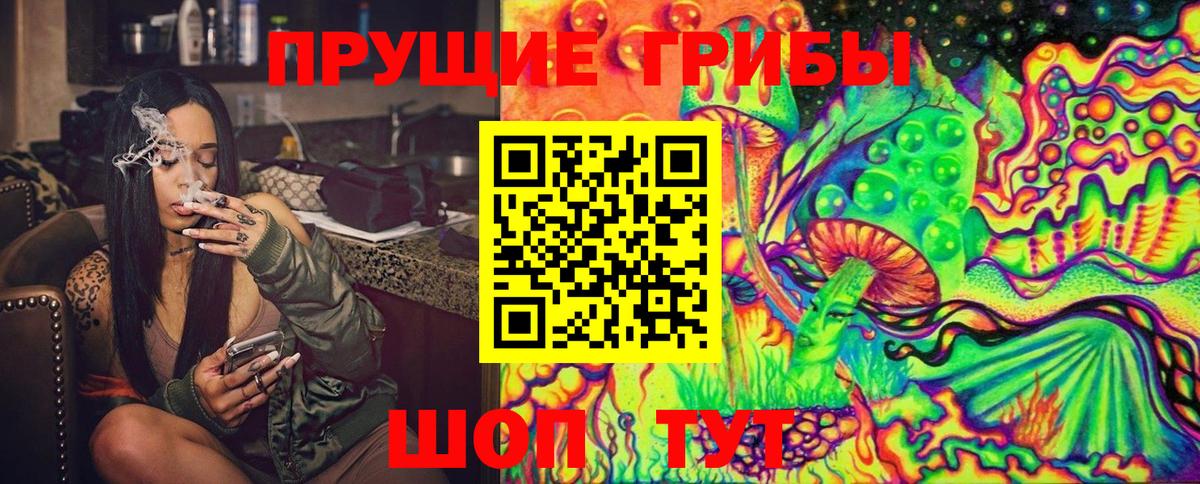 продажа наркотиков  Переславль-Залесский  Галлюциногенные грибы Magic Shrooms 