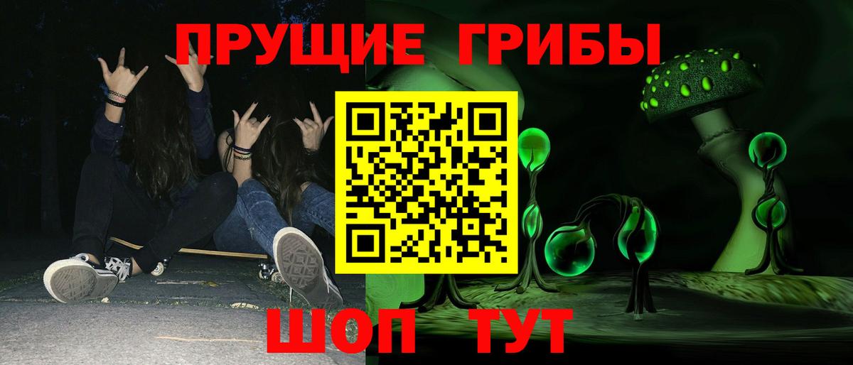 Галлюциногенные грибы прущие грибы Переславль-Залесский